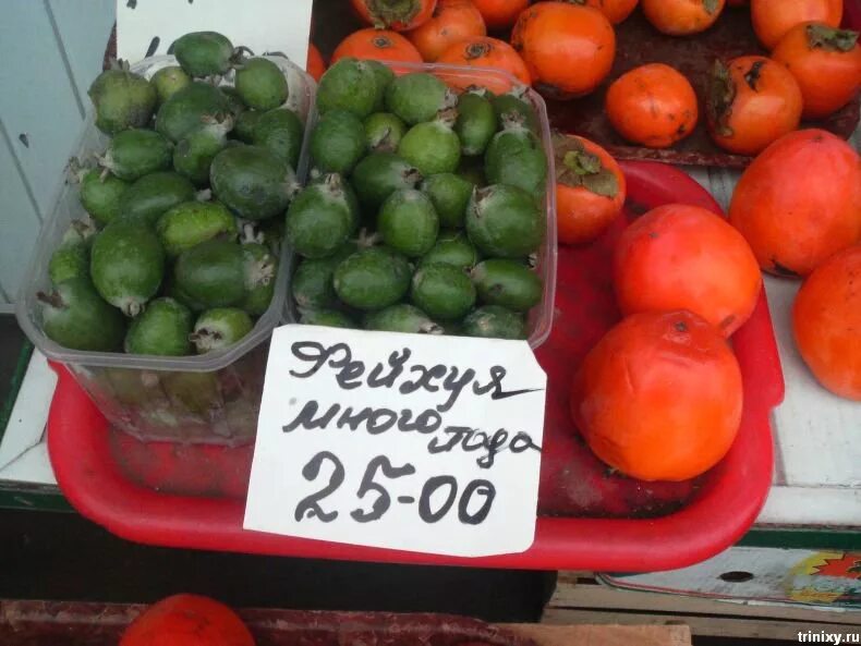 Смешные названия фруктов на рынке. Смешные надписи на фруктах на рынке. Прикольный фрукт название. Ценник на базаре. Манда манда мандарин