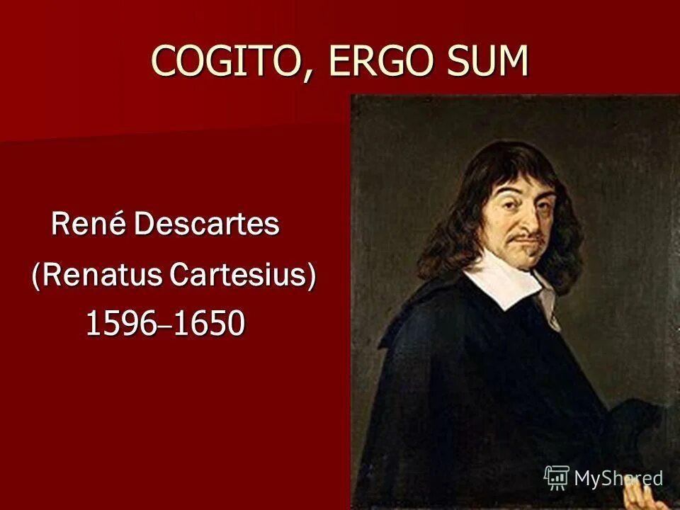 Cogito ergo sum рисунки. Cogito ergo sum картинки. Cogito, ergo sum. Cogito ergo sum декарт. Cogito ergo sum картинки.