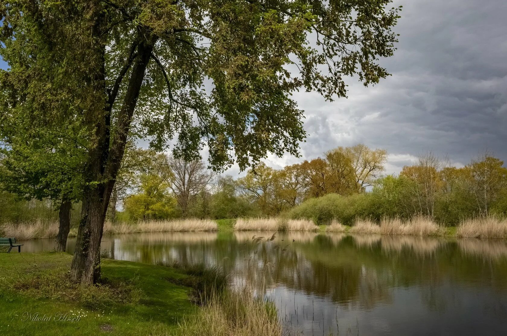 Озеро весной. Головинские пруды парк. Пруд майские пруды воронеж. Пруд в мае. Пруд в мае.
