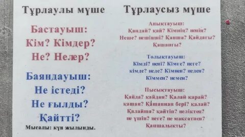 Гимнасттардың қатысуымен эротикалық фильмдер