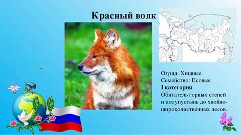 Красный волк сообщение 2 класс