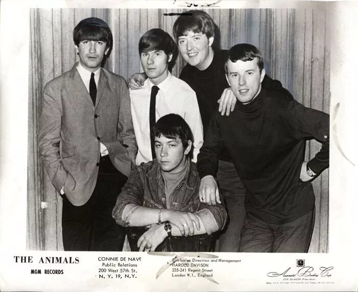 The animals now. Группа the animals. Группа энималс. The animals now. The animals now.