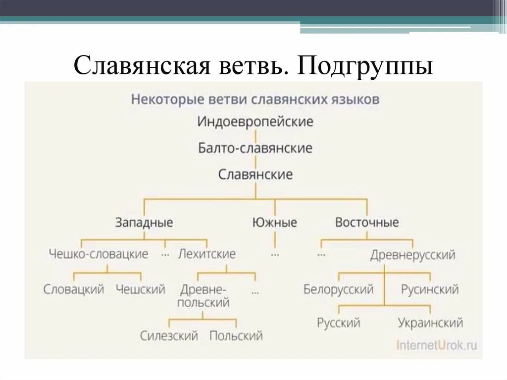 Славянская ветвь языков