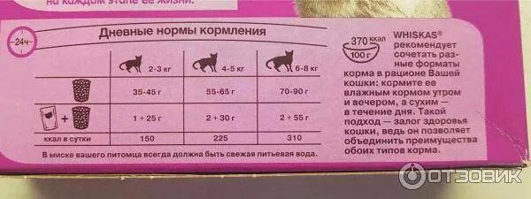 Рацион еды для котов кастратов. Норма еды для котенка 9 месяцев. Через сколько кормить кота. Режим питания кошек. 5 месяца.