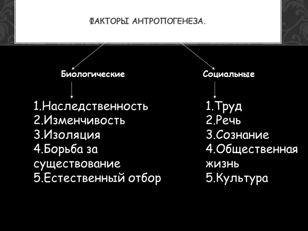 Факторы антропогенеза биологические и социальные. Факторы антропогенеза схема. Социальные факторы антропогенеза. Биологические факторы антропогенеза. К социальным факторам антропогенеза относятся