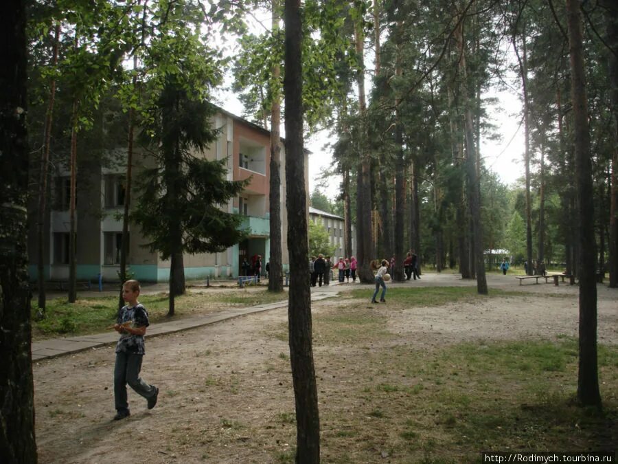 Дол городецкого района. Лагерь салют Нижегородская область Городецкий. Детский оздоровительный лагерь салют Городецкий район. Лагерь салют Городецкий район Нижегородская область. Городецкий район лагерь салют салют.