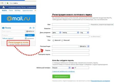 Email телефон дата рождения