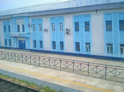 Небель иркутская