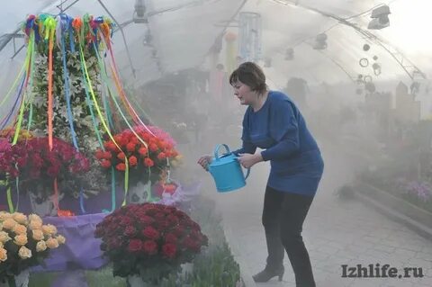 Цветы ижевск удмуртская