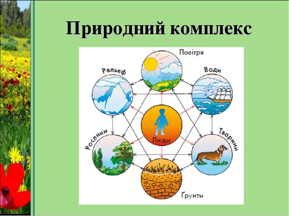 Какие природные комплексы являются наименьшими по размеру. Схема природного комплекса. Элементы природного комплекса. Природные компоненты природного комплекса. Любой природный комплекс.