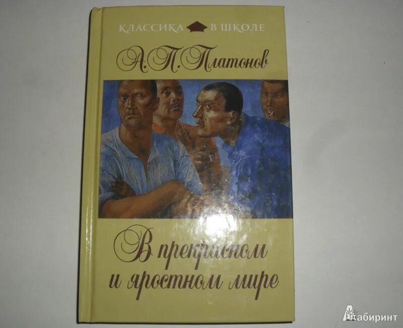 В прекрасном и яростном мире страницы. Платонов в прекрасном и яростном мире. В прекрасном и яростном мире обложка книги. Платонов в прекрасном и яростном книга.