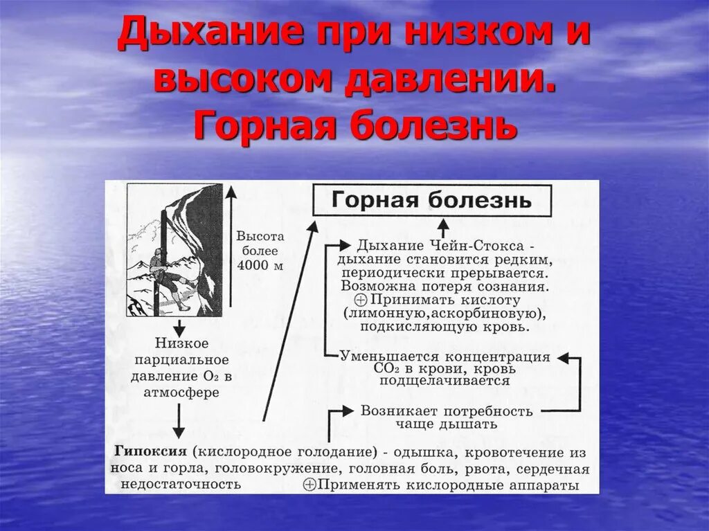 Снизить давление дыханием. Дыхание при пониженном атмосферном давлении. Изменения вентиляции легких при повышенном атмосферном давлении.. Дыхание при пониженном атмосферном давлении физиология. Дыхание при пониженном и при повышенном атмосферном давлении.