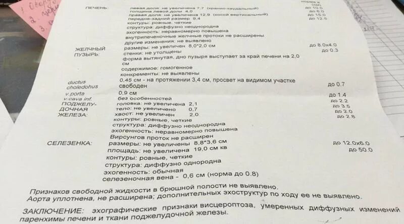 Нормы органов брюшной полости. УЗИ брюшной полости норма показателей. УЗИ органов брюшной полости норма показатели. УЗИ брюшной полости показатели нормы у взрослых. УЗИ органов брюшной полости заключение норма.