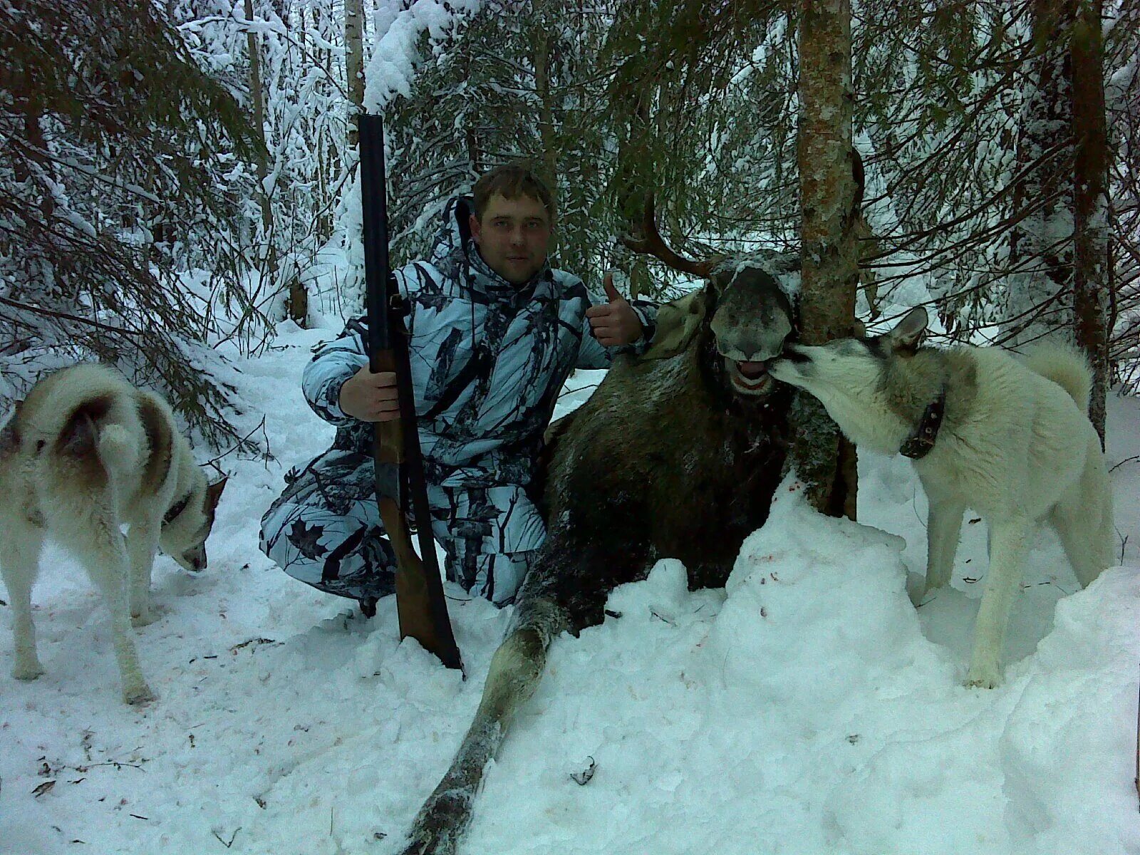 охотоведческое хозяйство. сфере охотничьего хозяйства. хищник на охоте. охота и охотничье хозяйство. ведение охотничьего хозяйства.