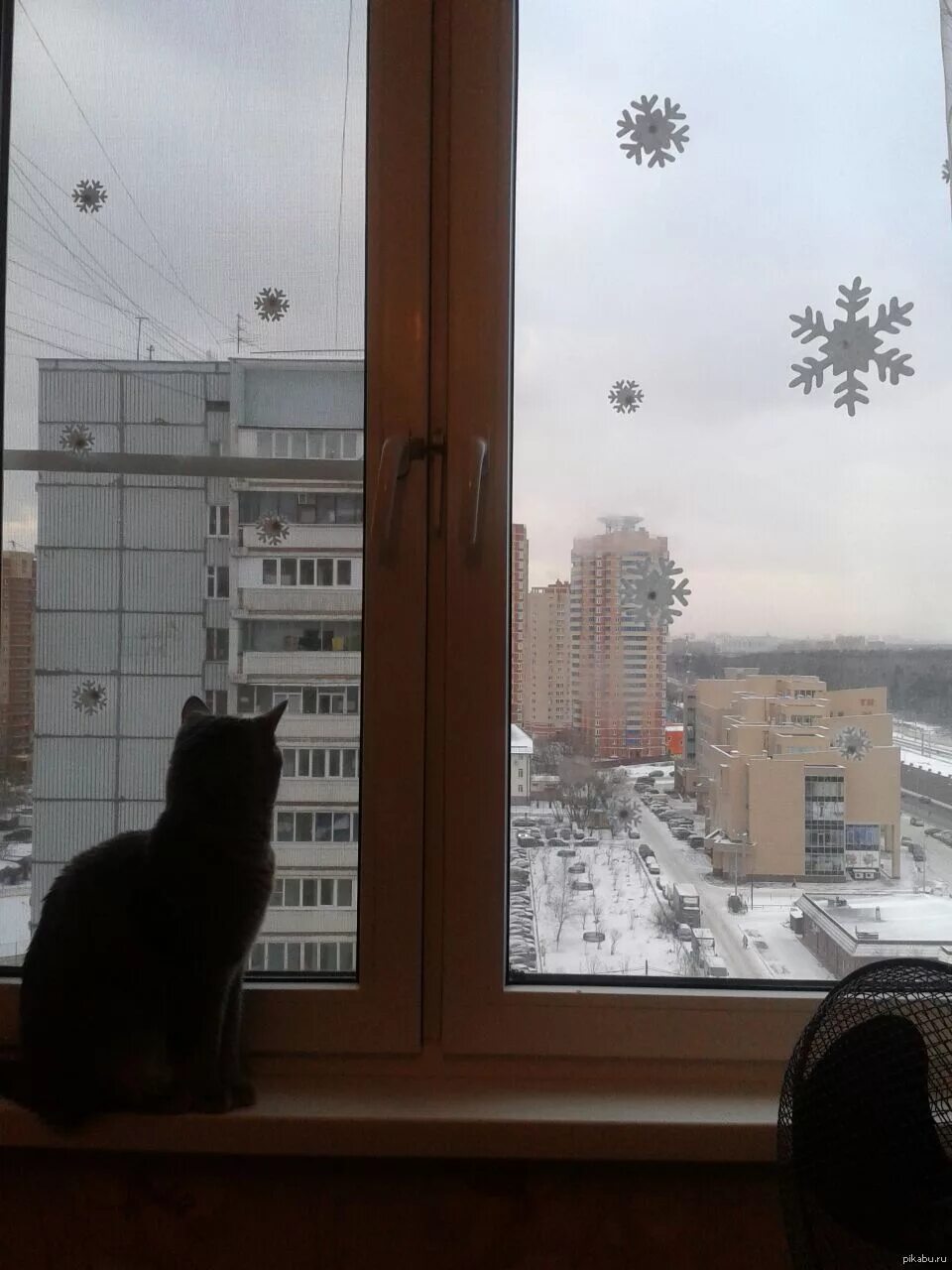 Квартиры в городе зима
