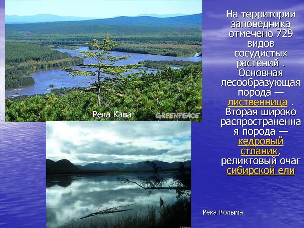 Скорость реки колыма. Происхождение реки Колыма. Колыма (река). Исток Колымы. Информация о реке колым.