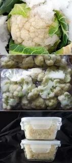 Можно морозить свежую капусту