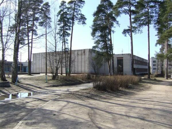Поселок поляны ленинградская область погода. Лесные поляны пионер лагерь. Посёлок поляны ленинградская область. Поселок поляны ленинградская область погода. Поселки "поляны" ленобласть.