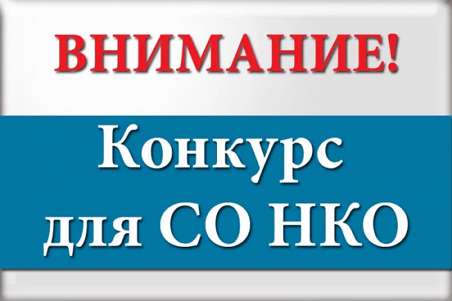Коммерческие и Некоммерческие Организации: главные отличия и особенности Новости