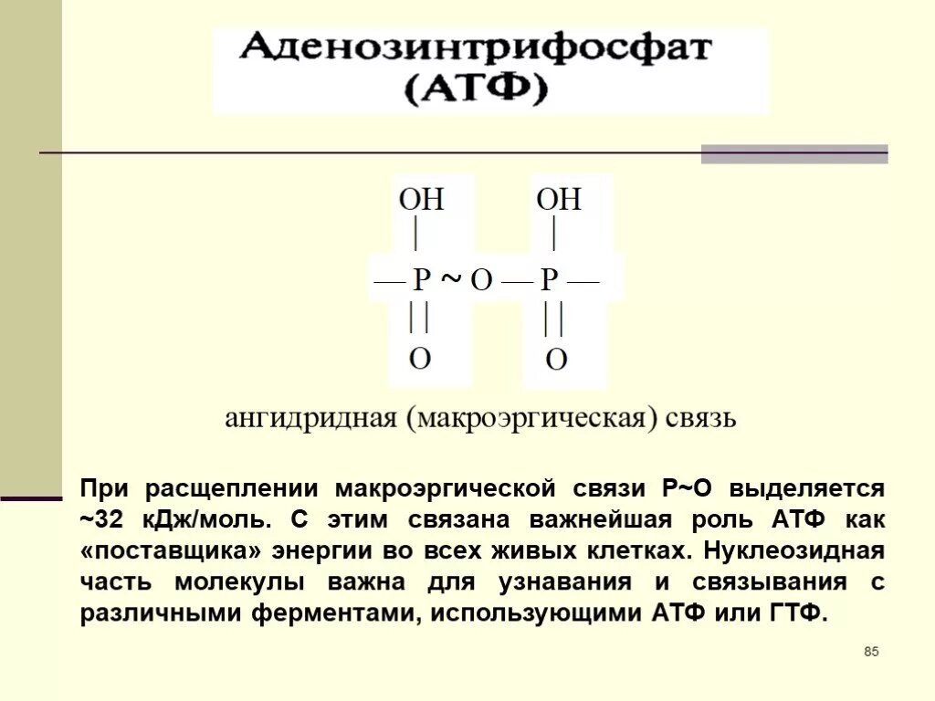 Макроэргические связи в АТФ. Макроэргическое соединение АТФ. Макроэргические связи в молекуле АТФ. Макроэнергетические связи.
