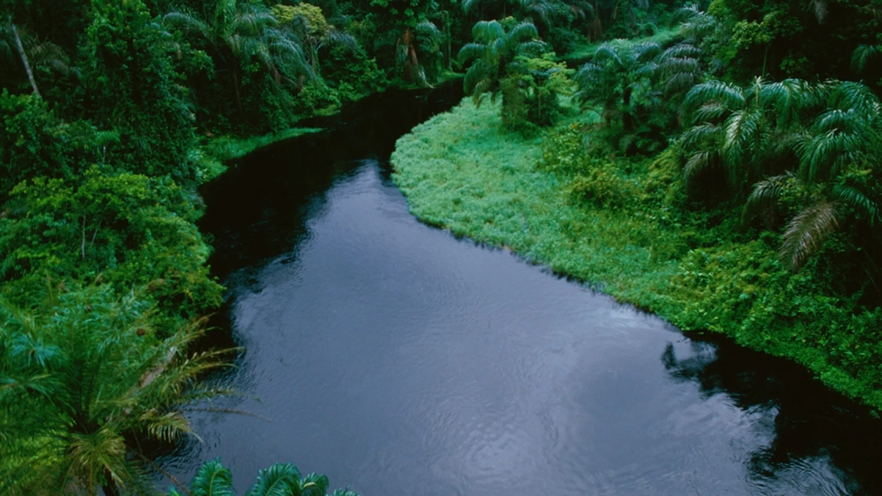 Река касаи. Национальный парк салонга в африке. Конго заир река. Река в заире 4. Лимпопо река.