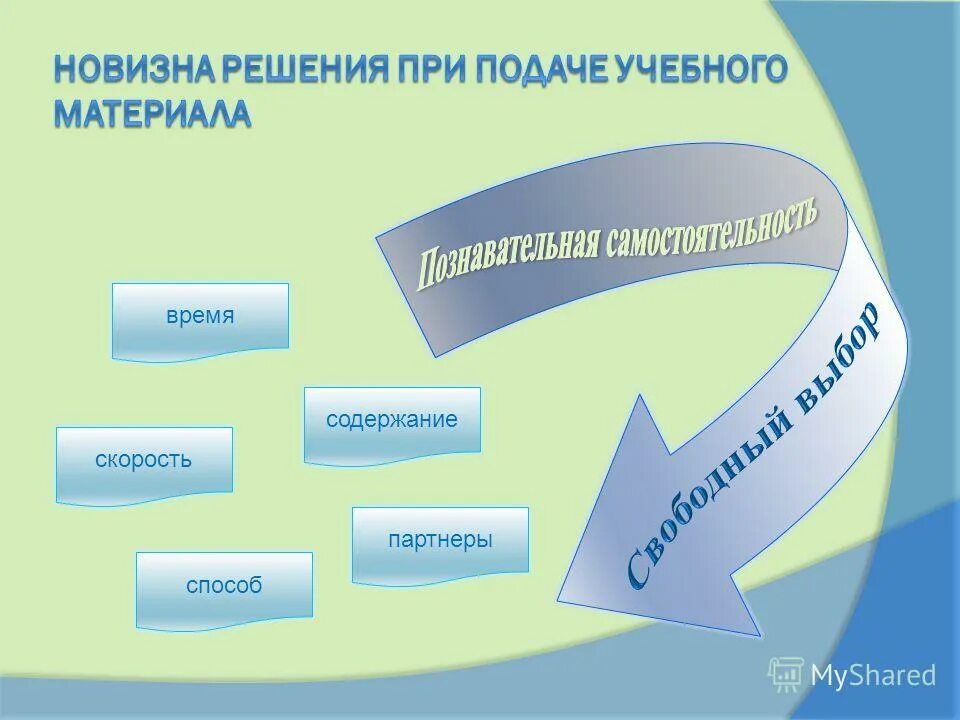 Программа тема ведущие