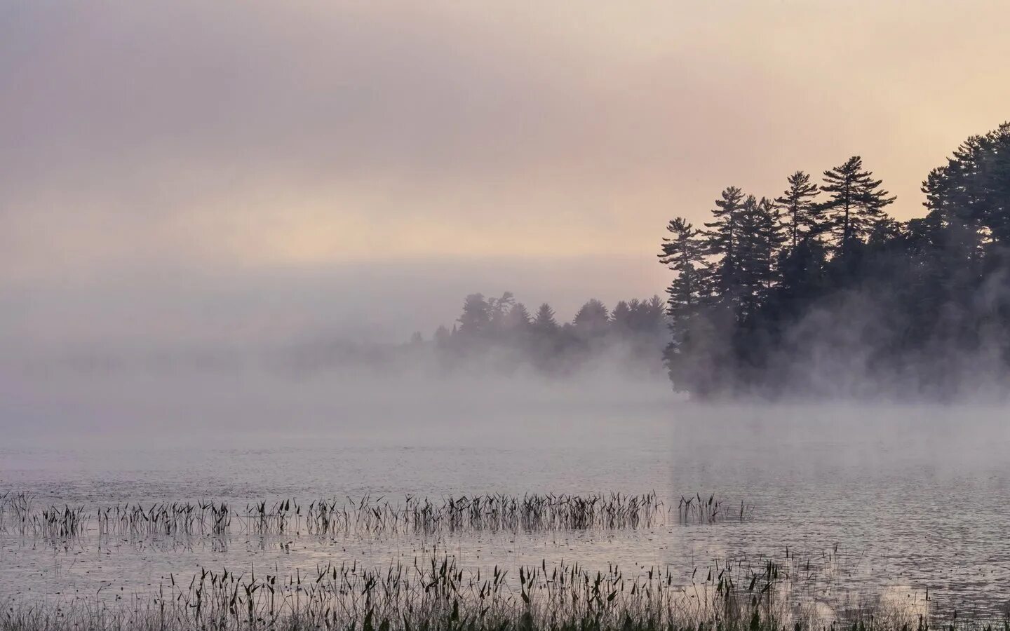 туманный хакасия отзывы