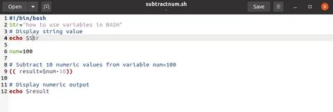 Bash script variables