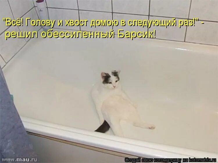 Саша спилберг в ванне с чипсами. Акриловая ванна ravak behappy 140x75. Мужчина в ванной с уточками. Ванны recor. Чугунная ванна recor antique.
