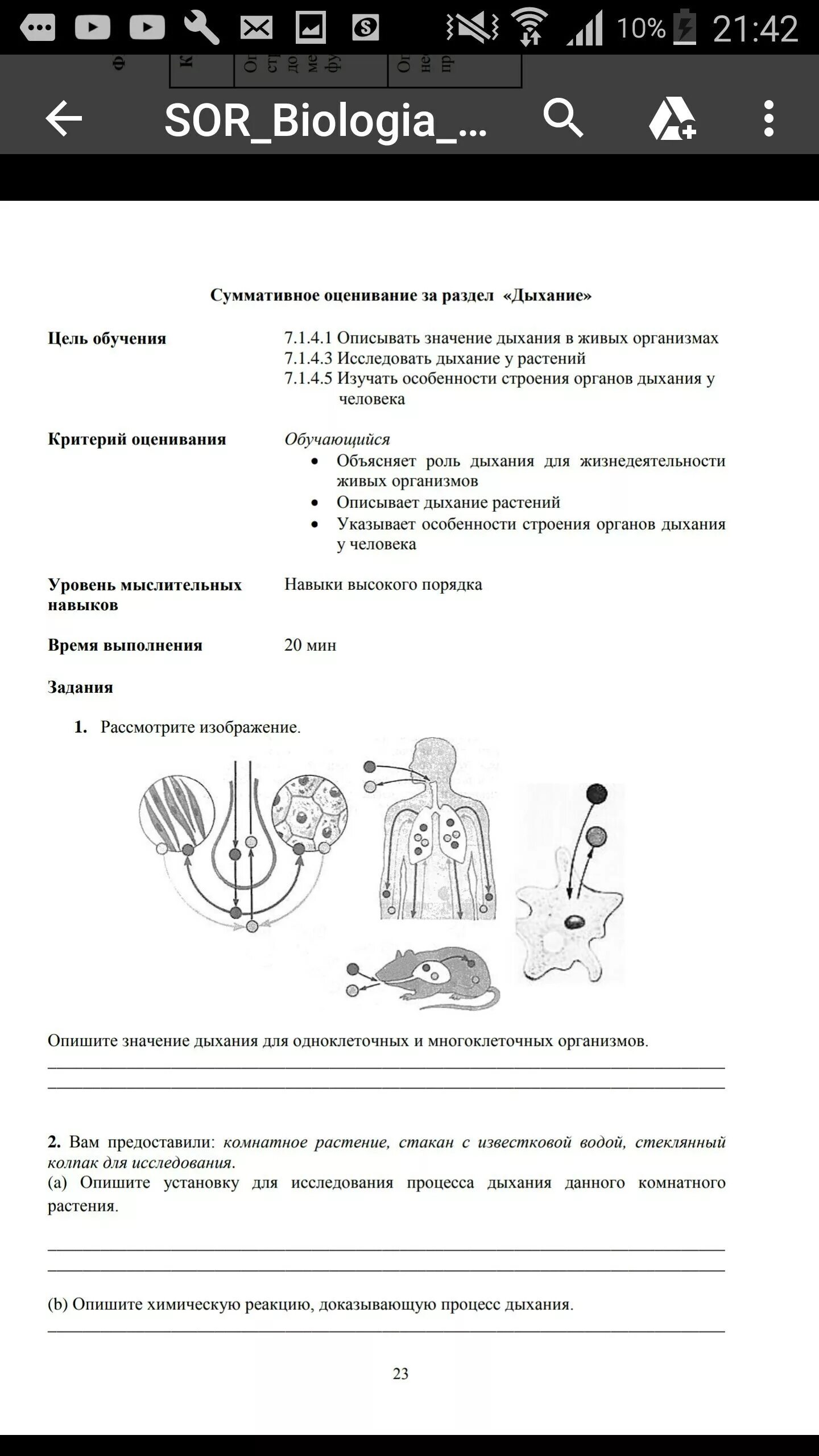 Сочи по биологии 11 класс. Сор по биологии 7 класс 2 четверть. Сор по биологии 7 класс 3 четверть. Сор по биологии 8 класс 2 четверть. Сор по биологии 8 класс 3 четверть.