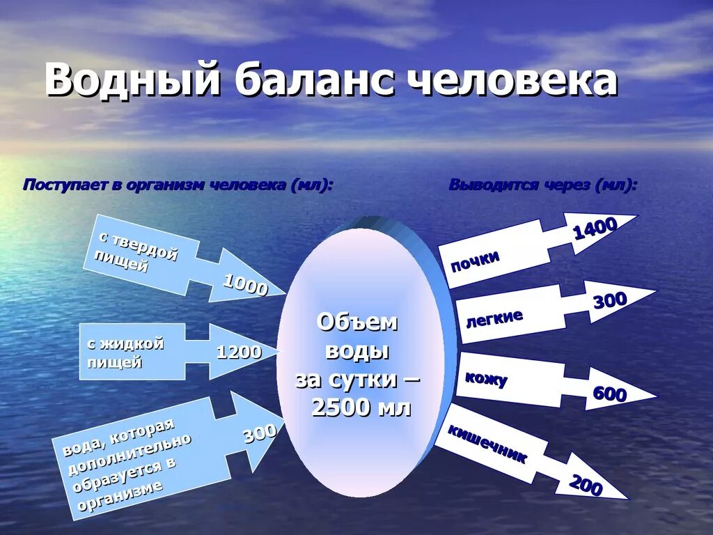 Водный баланс. Соблюдение водного баланса. Важность водного баланса. Вода и Водный баланс.