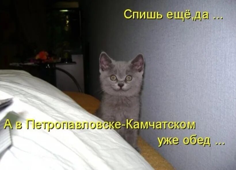 Убирайся без тебя мне будет проще
