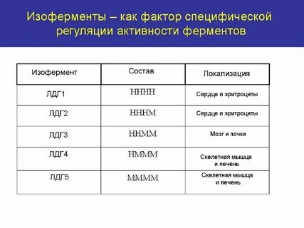 Биологическая роль изоферментов