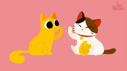 Cat dan