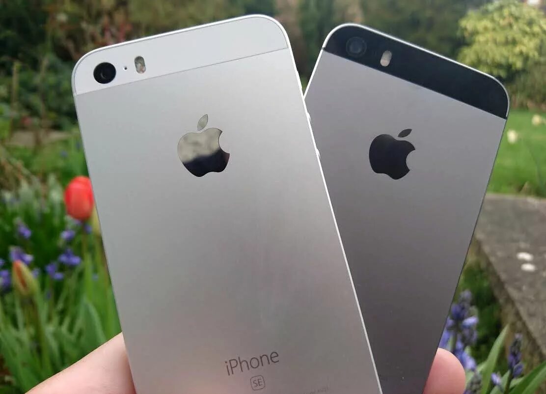 Iphone 5s и iphone se. Iphone 5 vs 5s vs se. Разница айфон se. Айфон 5s и se. Айфон 5 se.