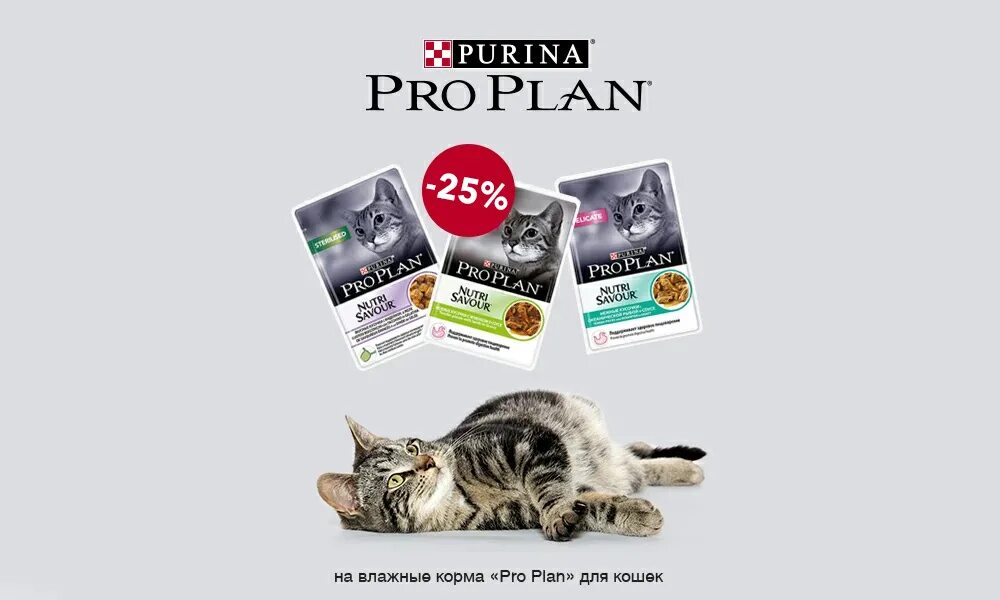 Пропал pro plan live. Pro Plan реклама. Корма Pro Plan баннер. Влажный корм для кошек Pro Plan реклама. Проплан для кошек плакат.