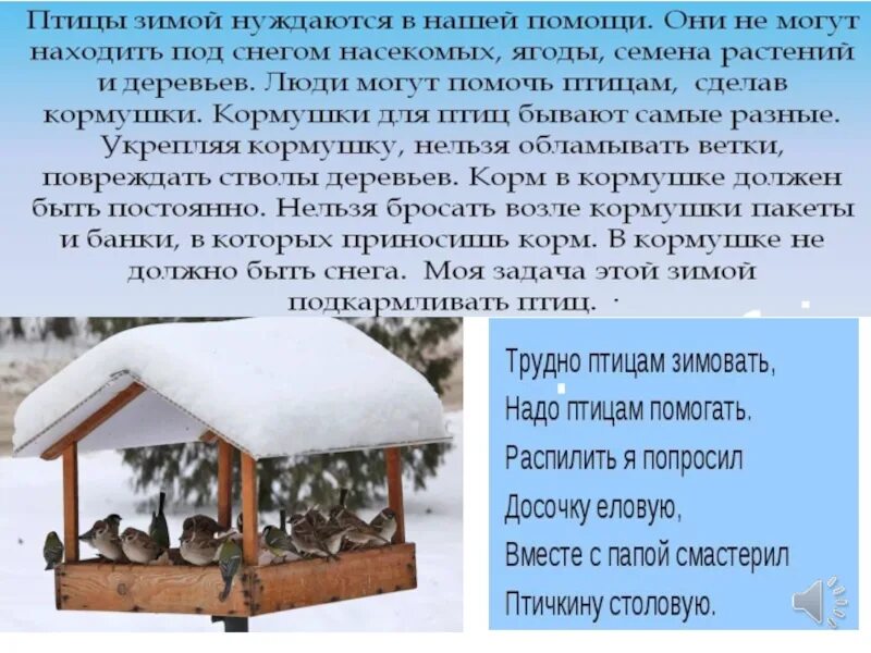 Как помочь птицам зимой 1 класс. Как помочь птицам. как помочь животным зимой. как помочь птицам в зимнее время. как люди помогают животным и птицам зимой.