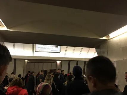 Серая ветка