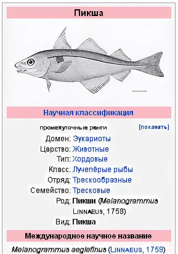 Сколько варить пикшу. Сколько варить пикшу