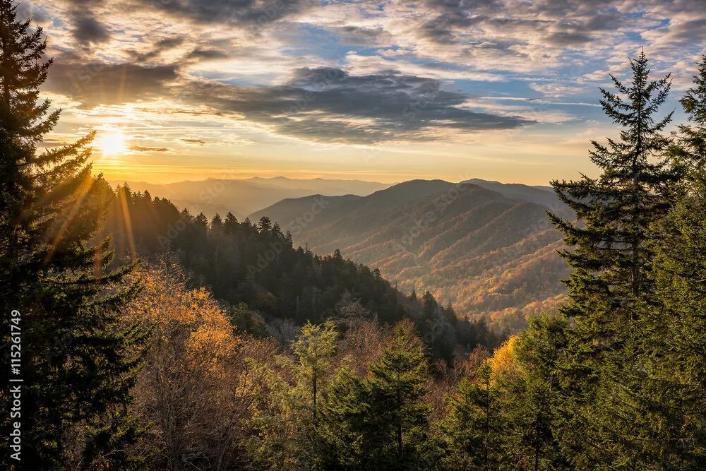 Национальный парк грейт смоуки маунтинс. The great smoky. Национальный парк грейт-смоки-маунтинс. National park entrance. Смоки маунтинс теннесси.