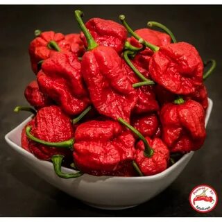 Коралина рипер