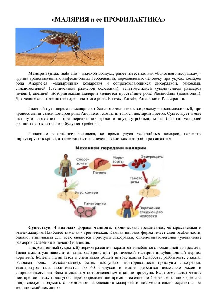 Особенность малярии. Профилактика при тропической малярии. Профилактика болезни малярии. Профилактика малярии схема. Малярия памятка.