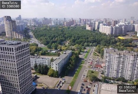 Высокая 36