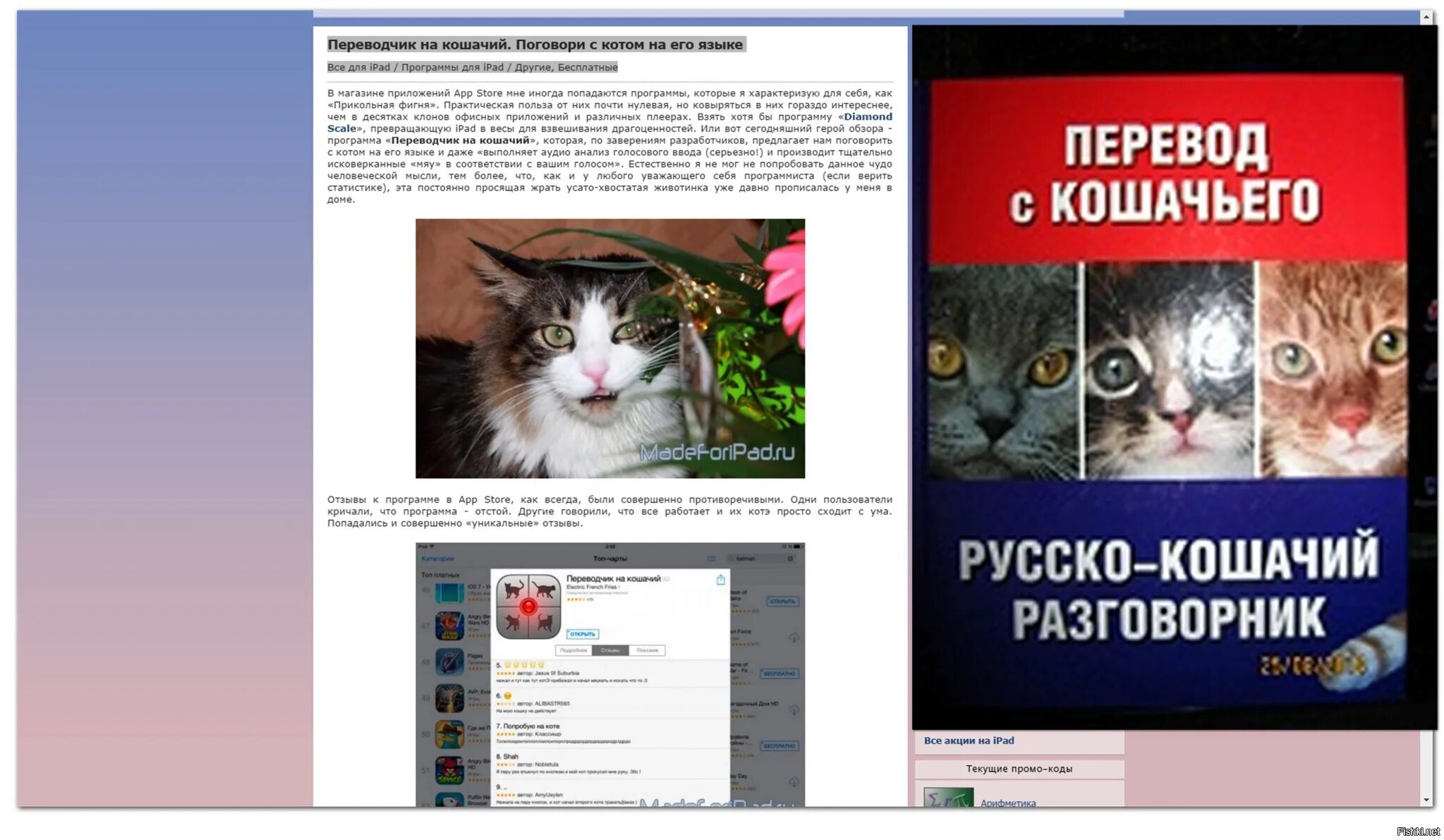 Разговаривать с кошкой переводчик. Книга язык кошек. Выучить язык кошек. Разговаривать с кошкой переводчик. Понимать язык кошек.