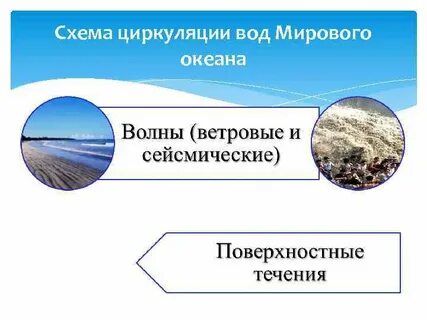 Циркуляция океанов