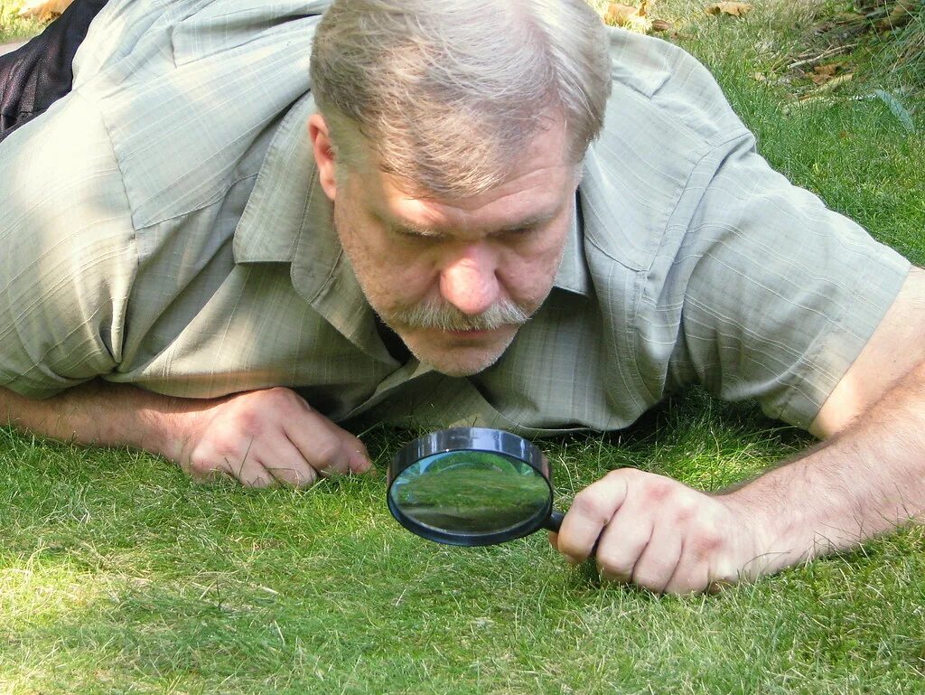 Watching them grow. Like watching grass grow. watch on the grass.