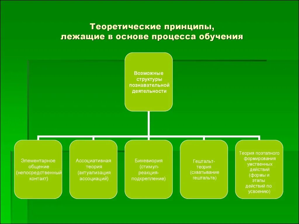 Процесс теоретического и практического обучения это