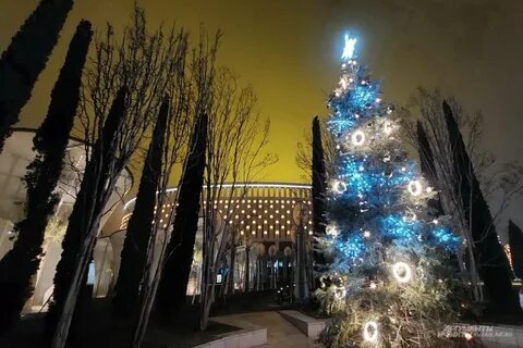 Краснодар в декабре