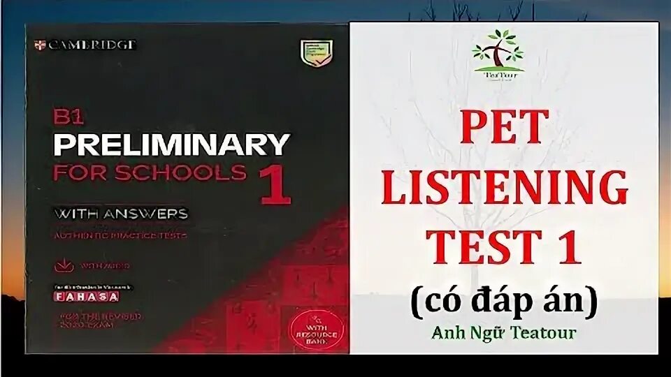 Preliminary for schools audio