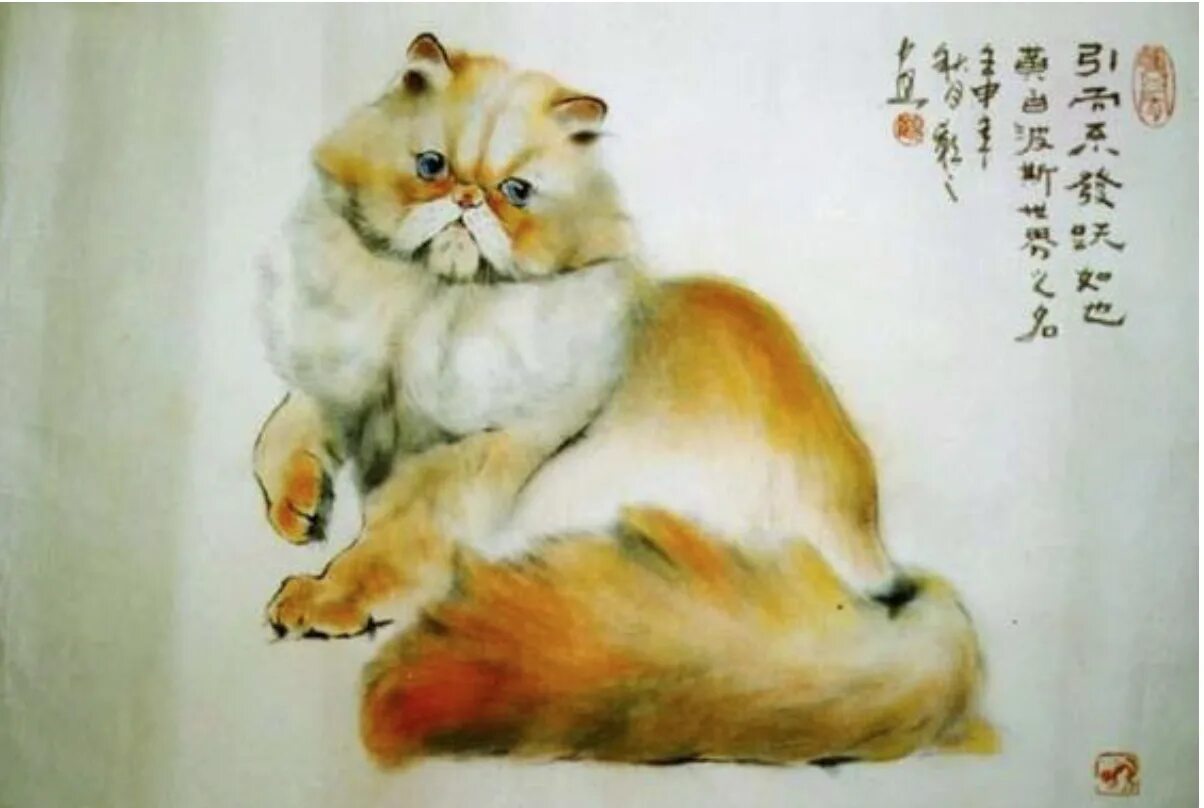 Как будет по китайски кошка. Китайский художник Сюй Синьци. Китайские коты gu Yingzhi. Китайские коты ГУ Йинчжи. ГУ Йингжи художница Китай кошки.